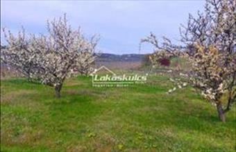 Eladó Balatonszőlősi külterületi telek hirdetés (44493734)