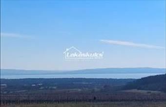 Eladó Dörgicsei külterületi telek hirdetés (14452434)