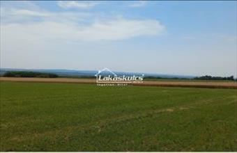 Eladó Alsópáhoki lakóövezeti telek hirdetés (77887979)