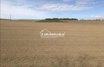 Eladó Alsópáhoki lakóövezeti telek hirdetés (14495598)