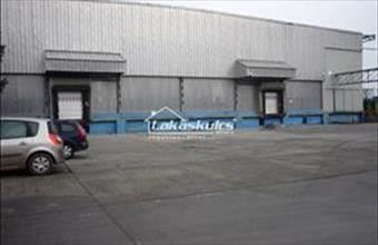 Kiadó Zalaegerszegi egyéb üzlethelyiség hirdetés (96515354)