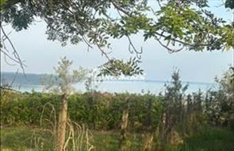 Eladó Balatonalmádi külterületi telek hirdetés (54854484)