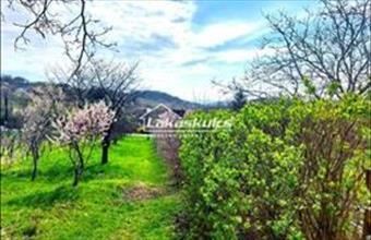 Eladó Balatonszőlősi üdülő hirdetés (97132834)