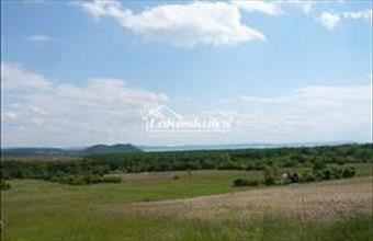 Eladó Balatonfüredi külterületi telek hirdetés (73741345)