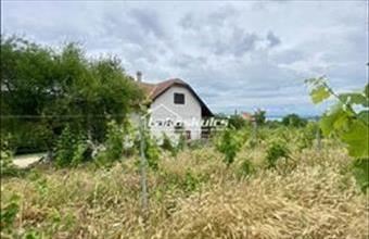 Eladó Balatonfüredi családi ház hirdetés (38494546)