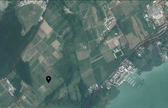 Eladó Balatonfüredi külterületi telek hirdetés (95679433)