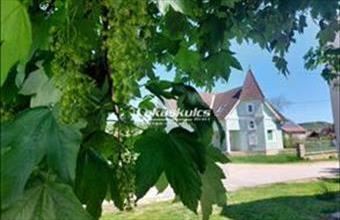 Eladó Balatonszőlősi családi ház hirdetés (24749482)