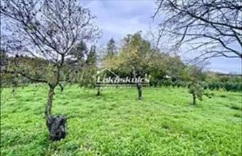 Eladó Csopaki lakóövezeti telek hirdetés (33266793)