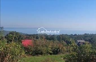 Eladó Alsóörsi külterületi telek hirdetés (24395345)