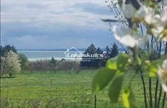 Eladó Csopaki üdülő hirdetés (77977333)