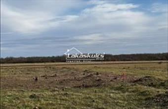 Eladó Csapodi lakóövezeti telek hirdetés (88343332)