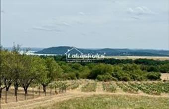 Eladó Balatonfüredi külterületi telek hirdetés (72244431)