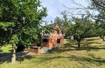 Eladó Ságvári üdülő hirdetés (34448767)