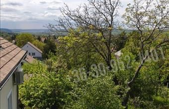 Eladó Budakeszi családi ház hirdetés (79493567)