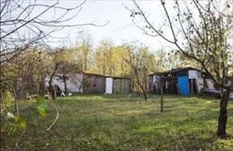 Eladó Bajai egyéb mezőgazdasági ingatlan hirdetés (65727282)