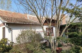 Eladó Jászberényi tanya hirdetés (78795149)