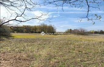 Eladó Farmosi fejlesztési lakóterület hirdetés (71429388)