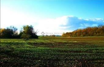 Eladó Mosonudvari külterületi telek hirdetés (73844443)