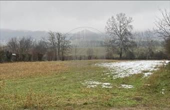 Eladó Tényői lakóövezeti telek hirdetés (35597632)