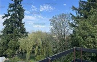 Eladó Szentendrei családi ház hirdetés (21365859)