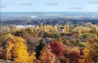 Eladó Szentendrei családi ház hirdetés (11889595)