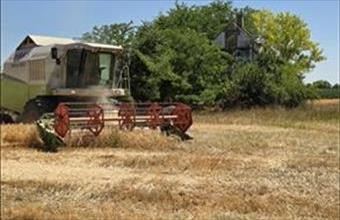 Eladó Felgyői termőföld, szántó hirdetés (34457854)