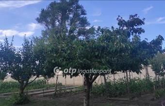 Eladó Szigetszentmiklósi külterületi telek hirdetés (76794538)
