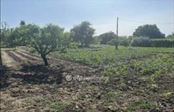 Eladó Ceglédi lakóövezeti telek hirdetés (52725464)