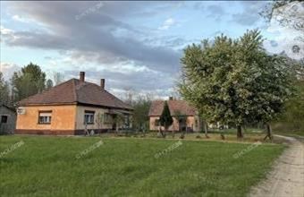 Eladó Kecskeméti tanya hirdetés (96243318)