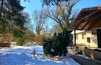 Eladó Verőcei családi ház hirdetés (44444212)