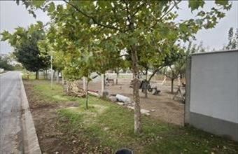 Eladó Sződligeti lakóövezeti telek hirdetés (53343942)