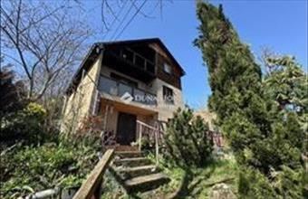 Eladó Leányfalui családi ház hirdetés (42775452)