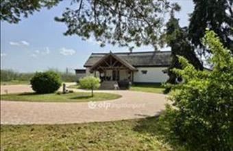 Eladó Dánszentmiklósi tanya hirdetés (79436842)