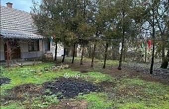 Eladó Gyulai családi ház hirdetés (32437536)