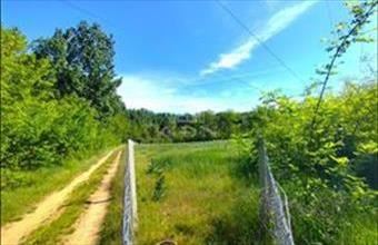 Eladó Gödöllői lakóövezeti telek hirdetés (94145384)