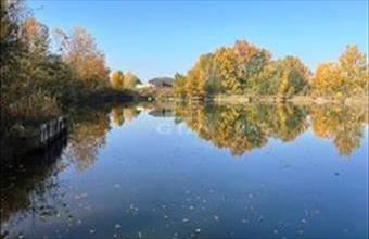 Eladó Dunaharaszti családi ház hirdetés (53312352)