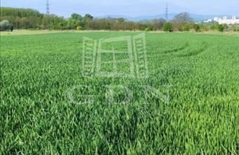 Eladó Miskolci termőföld, szántó hirdetés (94571717)