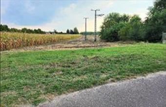 Eladó Örkényi egyéb telek hirdetés (35371748)