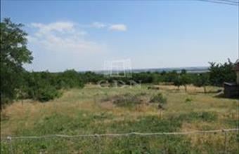 Eladó Pákozdi üdülőövezeti telek hirdetés (75443655)