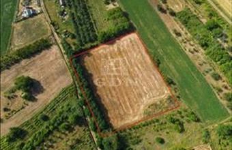 Eladó Kosdi lakóövezeti telek hirdetés (73353479)