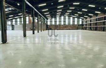 Kiadó Őrbottyáni raktár hirdetés (74342439)