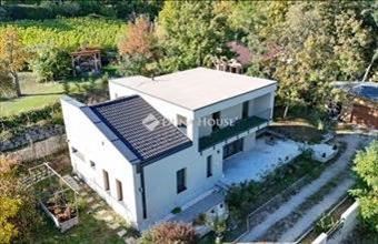 Eladó Leányfalui családi ház hirdetés (82354196)