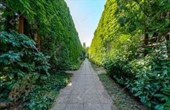 Eladó Budapest III. kerületi tégla lakás hirdetés (75794224)