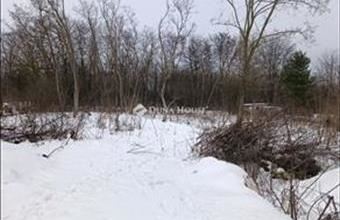 Eladó Gödöllői külterületi telek hirdetés (55432132)