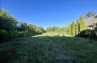 Eladó Pátyi egyéb telek hirdetés (33454972)