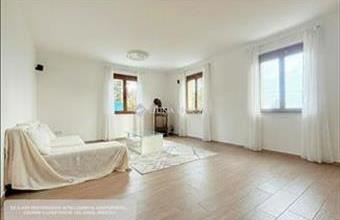 Eladó Szentendrei családi ház hirdetés (12338483)