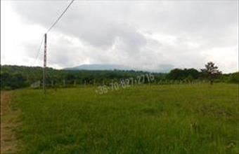 Eladó Parádi egyéb telek hirdetés (75564773)