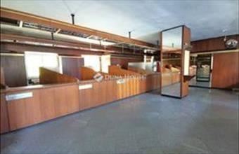 Kiadó Budapest IX. kerületi iroda családiházban hirdetés (53946474)