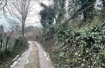 Eladó Nyúli egyéb mezőgazdasági ingatlan hirdetés (52329769)