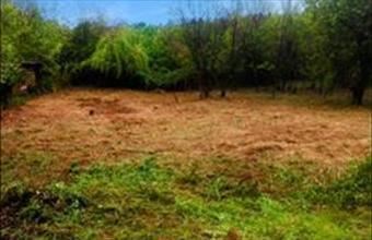 Eladó Miskolci egyéb telek hirdetés (46634927)